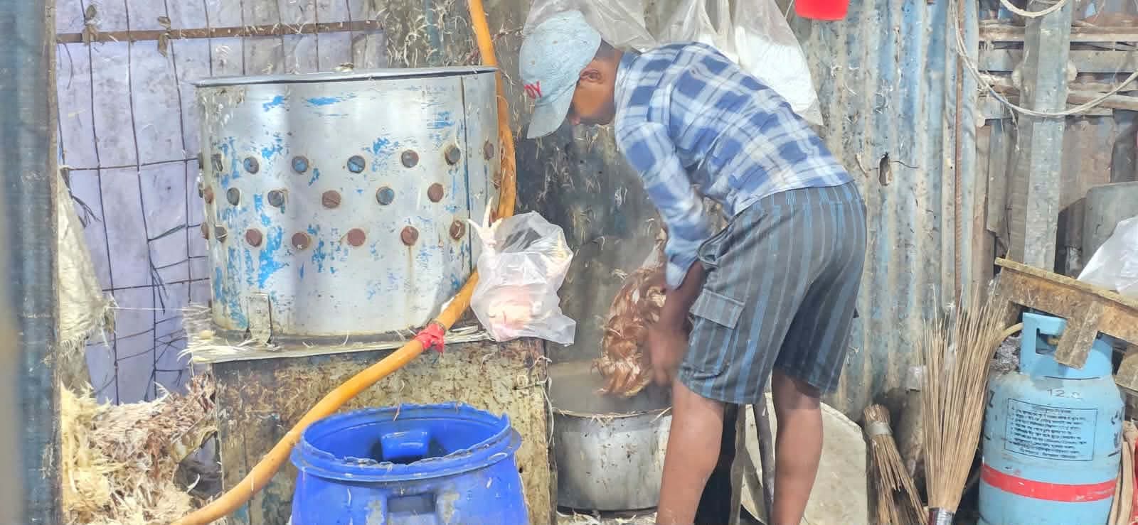সকাল থেকে সন্ধ্যা পর্যন্ত মুরগি ড্রেসিং করা হয়,একই ড্রামের ভিতর।